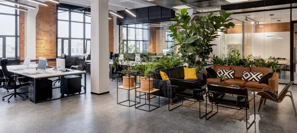 An office workspace and a lounge area in a seamless transition of plant ornaments