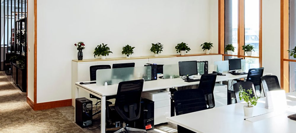 A nature-loving office space with multiple computer units on a desk with a shelf for plants