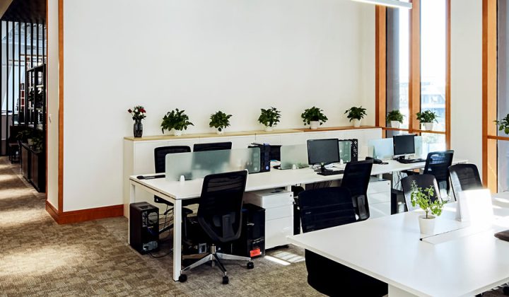 A nature-loving office space with multiple computer units on a desk with a shelf for plants